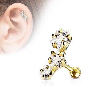 Lúmina Piercing